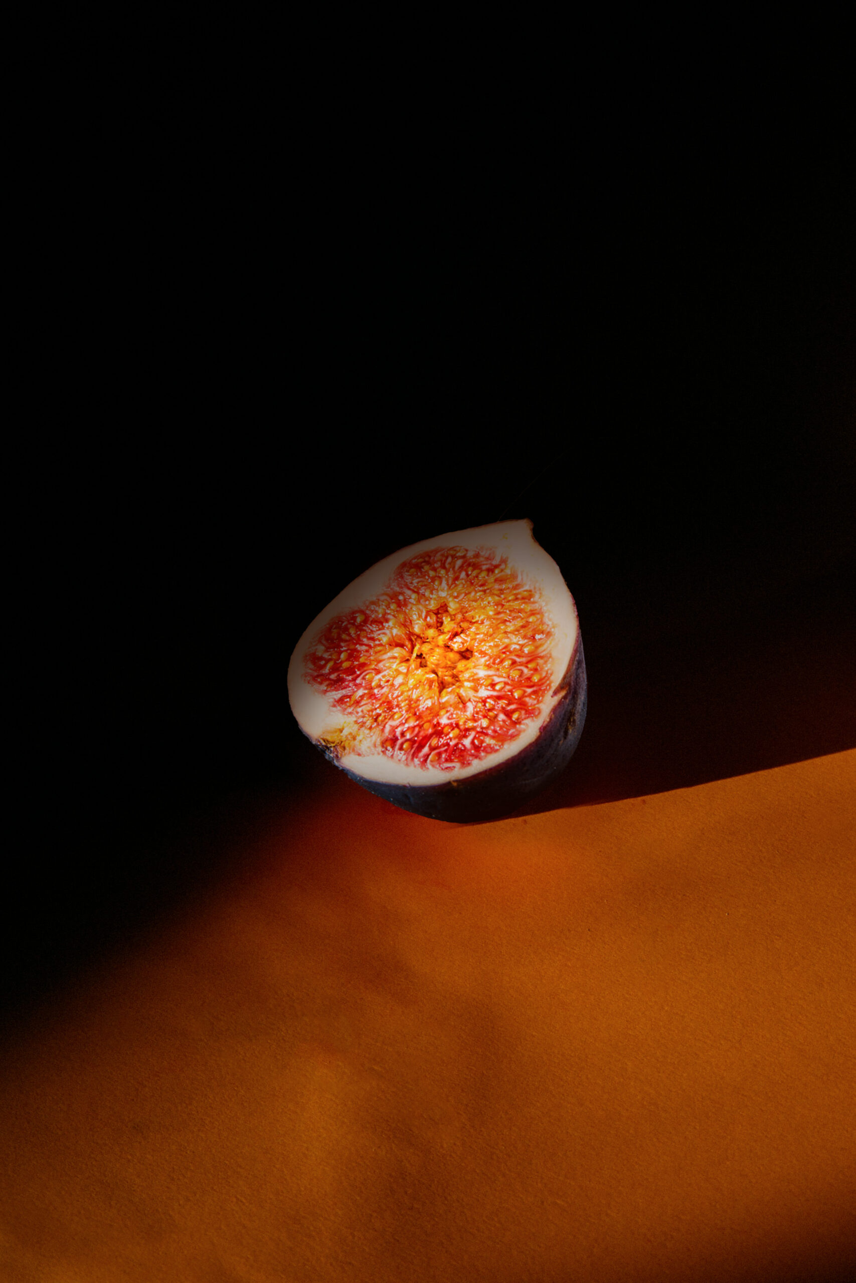 260106_LA_FINE_IMAGE_FIGUE